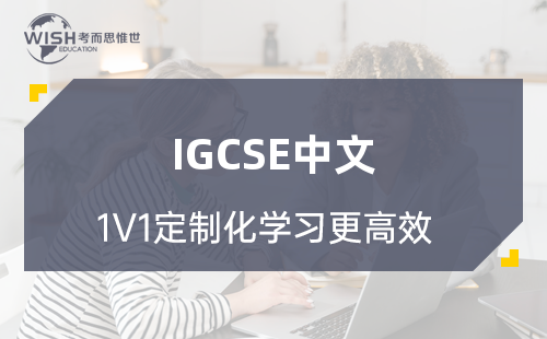 IGCSE中文辅导一般多少钱一课时？