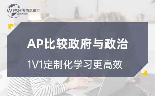 AP比较政府与政治一对一辅导哪家好？费用多少？