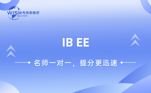 IB EE扩展论文要如何写？论文辅导机构推荐！