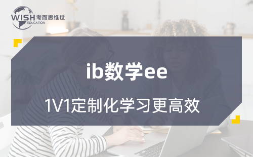 IB数学AA课程EE有什么好的选题吗？