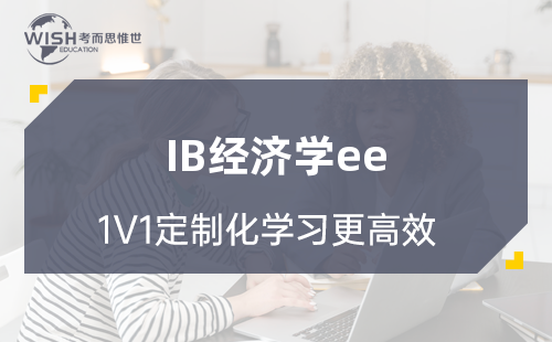 IB经济学EE有什么好的选题吗？