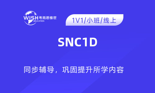 SNC1D一对一辅导班