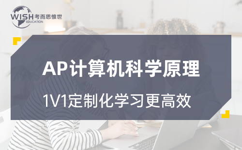 AP计算机科学原理高分冲刺课程！