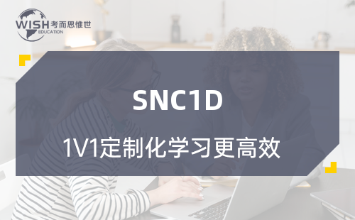 SNC1D辅导课程哪里好啊？