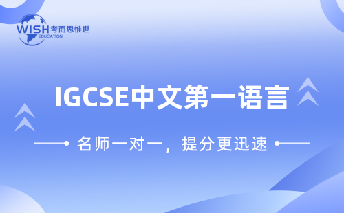 IGCSE中文第一语言辅导课程哪里有培训？