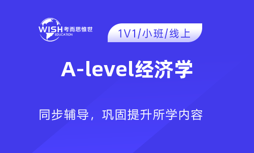 A-level经济学辅导课程哪个好些啊？