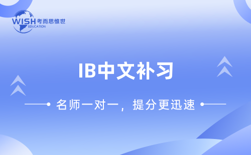 IB中文补习一对一哪里好？