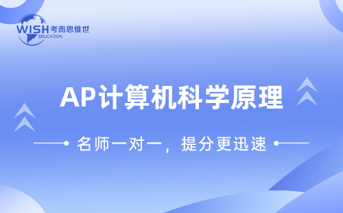 AP计算机科学原理一对一课程价格是多少？