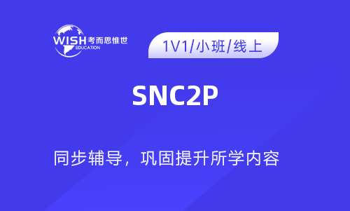 SNC2P辅导一对一线上每小时多少钱？