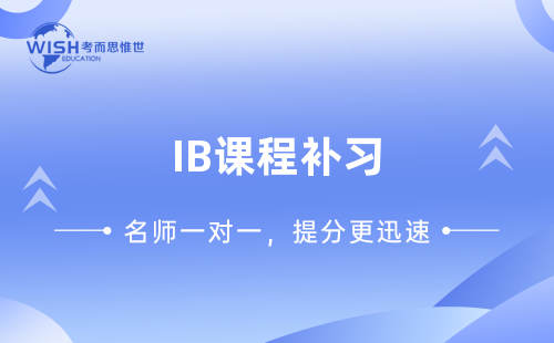 IB课程补习机构：如何选择最适合你的辅导方式？