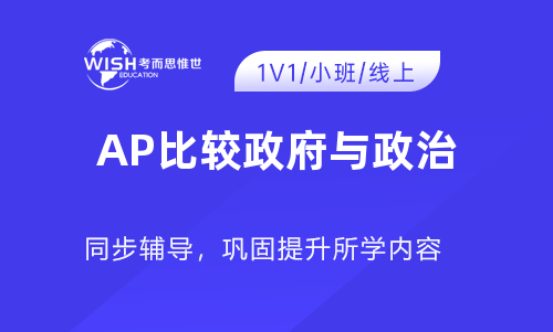 AP比较政府与政治培训机构哪家好？