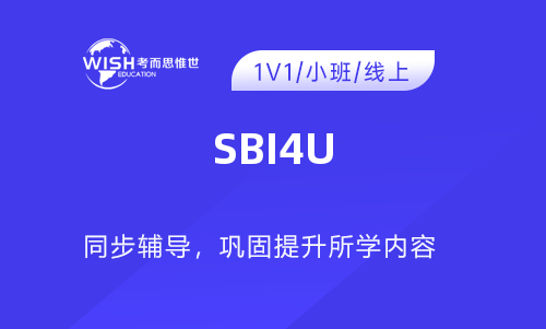 加拿大高中SBI4U辅导哪家好？