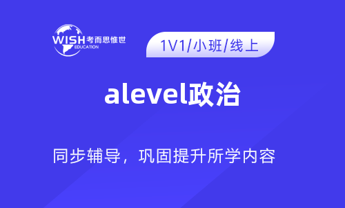 A-level政治一对一辅导价格多少？