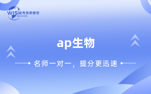 AP生物课程基础概念和5分备考技巧分享