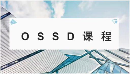 ossd课程可以申请哪些大学？