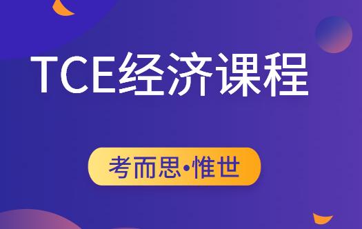 TCE经济课程学什么?