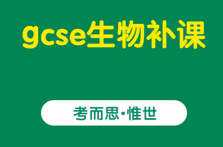 gcse生物重点词汇总结