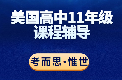 美高11年级英语文学和写作可以辅导吗?