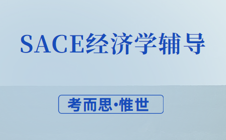 有没有可以辅导sace经济学课程的?