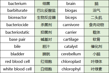 a-level生物专业术语清单整理-2