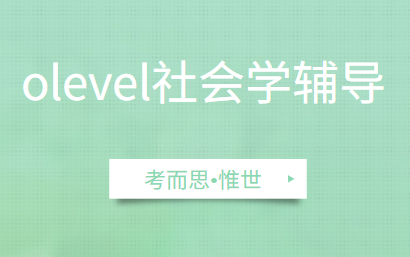 olevel社会学课程内容介绍