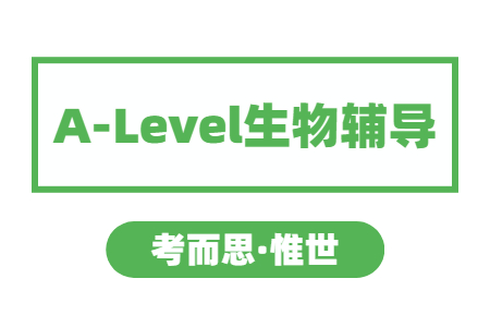 A-level生物考点都有哪些？