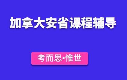 加拿大安省12年级经济课程和作业辅导有吗?