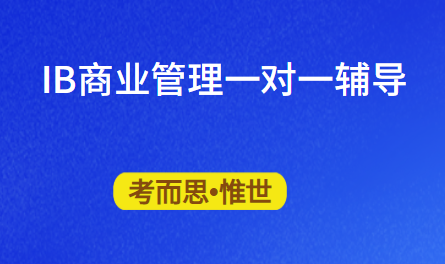 IB商业管理一对一辅导有没有?