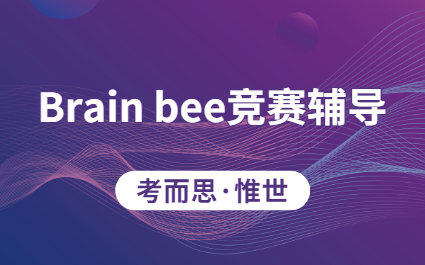 Brain bee脑科学大赛辅导课程