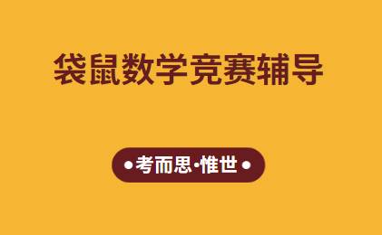 袋鼠数学竞赛level4考什么?