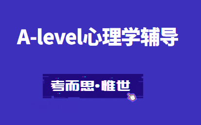 alevel心理学essay该怎么写?