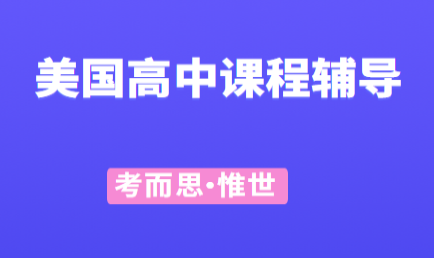 美国高中计算机课程有没有可以辅导的?