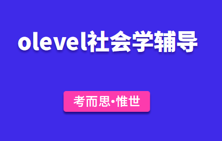 olevel社会学辅导有没有做的?