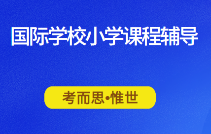 国际学校小学课程辅导有吗?