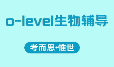 新加坡olevel生物课程辅导