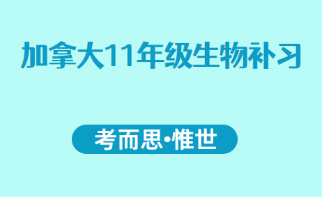 加拿大11年级生物补习老师有吗?