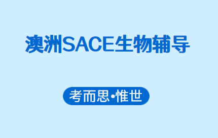 SACE生物辅导（SACE生物课程大纲介绍）