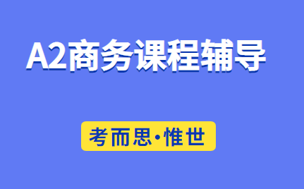 A2商务辅导老师有吗？