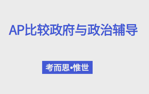 AP比较政府与政治辅导有没有?