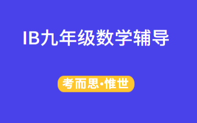 IB九年级数学有可以辅导的吗?