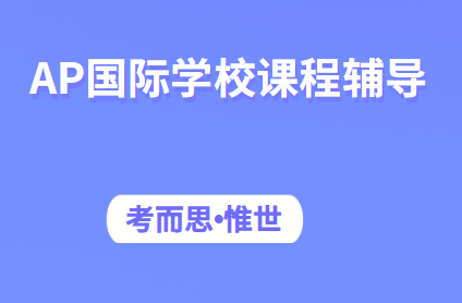 AP国际学校课程辅导老师有吗？