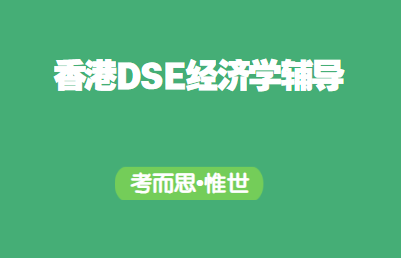 香港高中DSE经济学辅导有吗？