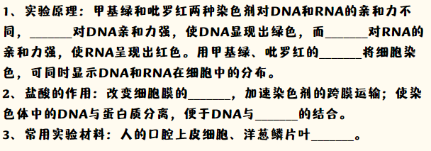 IB生物实验