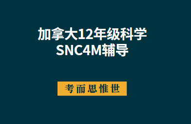 加拿大12年级SNC4M科学课程辅导有吗？