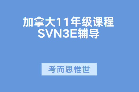 加拿大11年级SVN3E课程学什么？