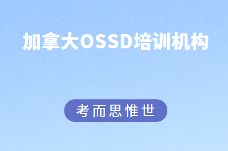 ossd培训机构哪一家好？