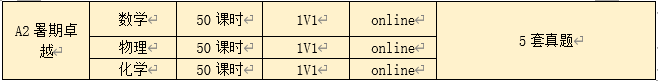 A-level暑期辅导