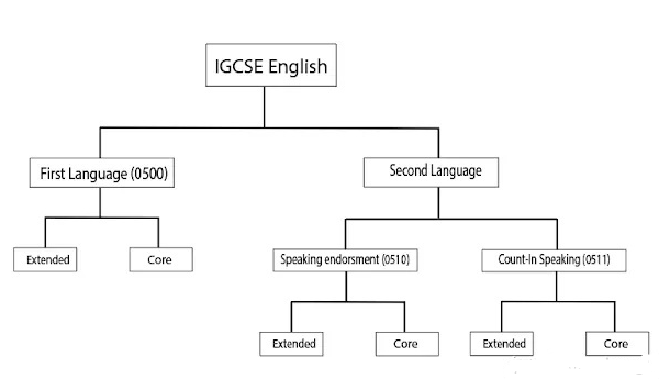 IGCSE英语