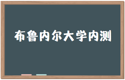 布鲁内尔大学内测