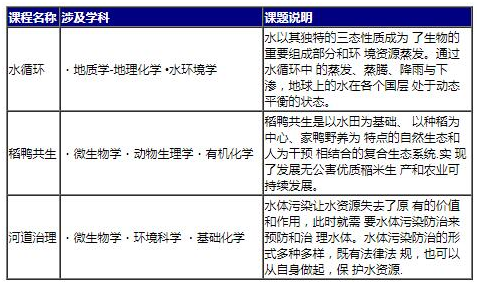 美华学校UIA荣耀班课程设置